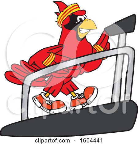 Clipart of a Red Cardinal Bird School Mascot Character Running on a Treadmill - Royalty Free Vector Illustration by Mascot Junction