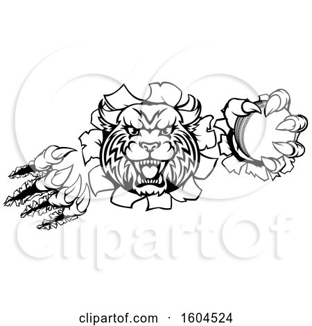 Clipart of a Black and White Vicious Bobcat Lynx Wildcat Mascot Breaking Through a Wall with a Cricket Ball - Royalty Free Vector Illustration by AtStockIllustration
