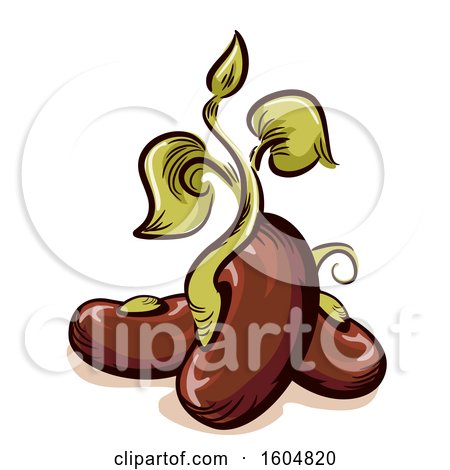 Clipart of a Sprouting Seed - Royalty Free Vector Illustration by BNP Design Studio