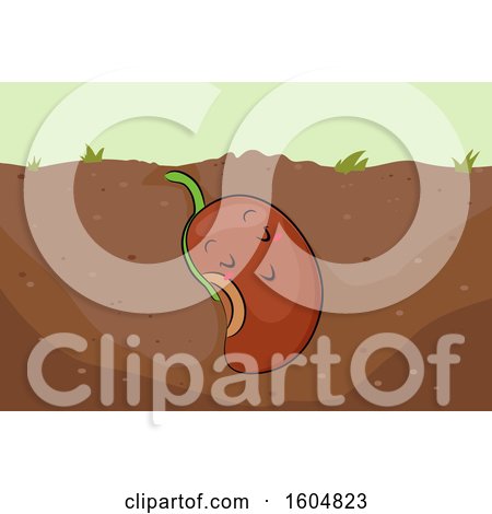 Clipart of a Happy Sleeping Mascot Seed Planted in the Soil Waiting for Growth - Royalty Free Vector Illustration by BNP Design Studio