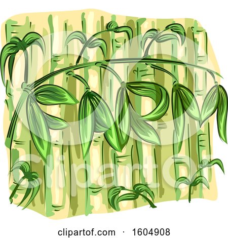 Clipart of Bamboo Stalks - Royalty Free Vector Illustration by BNP Design Studio