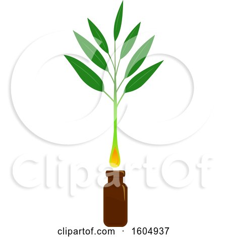 Clipart of a Tea Tree Plant with Oil Dropping down a Brown Bottle - Royalty Free Vector Illustration by BNP Design Studio