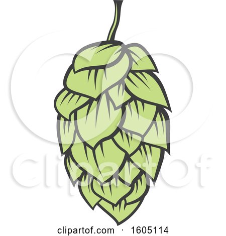 Clipart of a Green Beer Hop - Royalty Free Vector Illustration by Vector Tradition SM