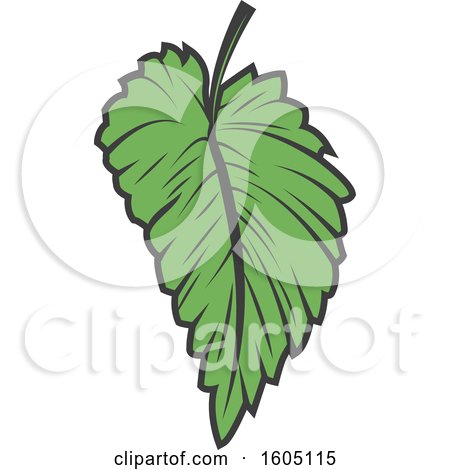 Clipart of a Green Beer Hop Leaf - Royalty Free Vector Illustration by Vector Tradition SM