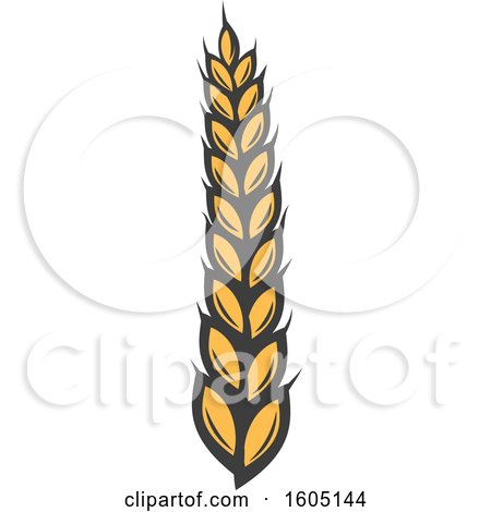 Clipart of a Grain Stalk - Royalty Free Vector Illustration by Vector Tradition SM