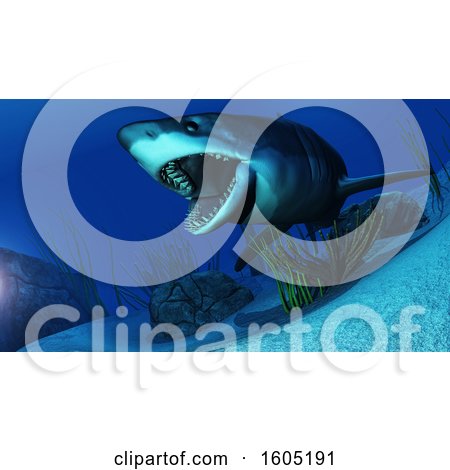 Clipart of a 3d Swimming White Shark Underwater - Royalty Free Illustration by KJ Pargeter
