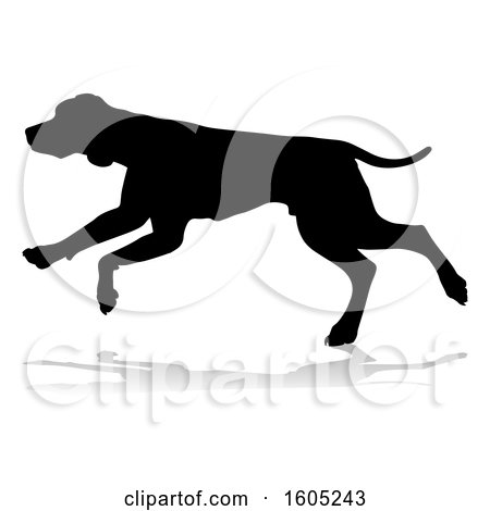 Clipart of a Silhouetted Hound Dog Running, with a Reflection or Shadow, on a White Background - Royalty Free Vector Illustration by AtStockIllustration
