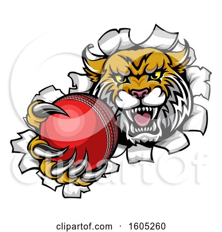 Clipart of a Vicious Wildcat Mascot Breaking Through a Wall with a Cricket Ball - Royalty Free Vector Illustration by AtStockIllustration
