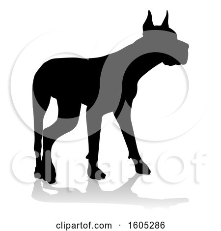Clipart of a Silhouetted Great Dane Dog, with a Reflection or Shadow, on a White Background - Royalty Free Vector Illustration by AtStockIllustration