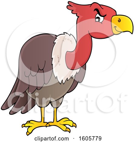 Clipart of a Vulture Bird - Royalty Free Vector Illustration by visekart