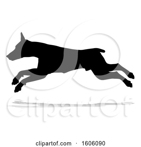 Clipart of a Silhouetted Doberman Dog, with a Reflection or Shadow, on a White Background - Royalty Free Vector Illustration by AtStockIllustration