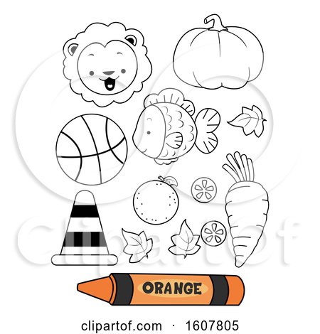 Color Orange Secondary Coloring Book Illustration by BNP Design Studio