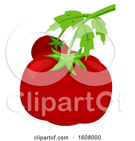 Tomato Board Illustration by BNP Design Studio
