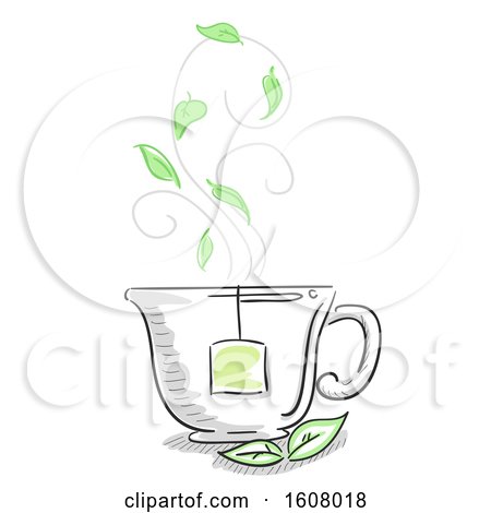Tea Cup Herbal Illustration by BNP Design Studio