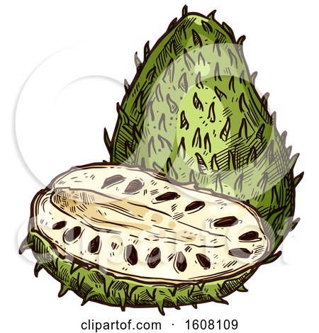 Clipart of a Sketched Soursop - Royalty Free Vector Illustration by Vector Tradition SM