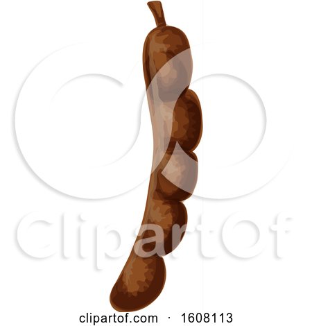 Clipart of a Tamarind - Royalty Free Vector Illustration by Vector Tradition SM