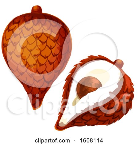 Clipart of a Tropical Fruit - Royalty Free Vector Illustration by Vector Tradition SM