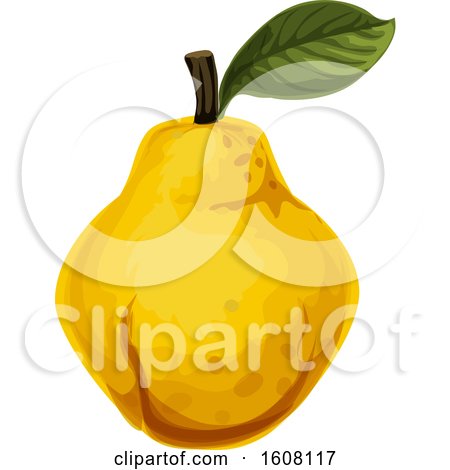 Clipart of a Tropical Fruit - Royalty Free Vector Illustration by Vector Tradition SM