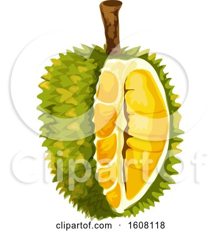 Clipart of a Jackfruit - Royalty Free Vector Illustration by Vector Tradition SM