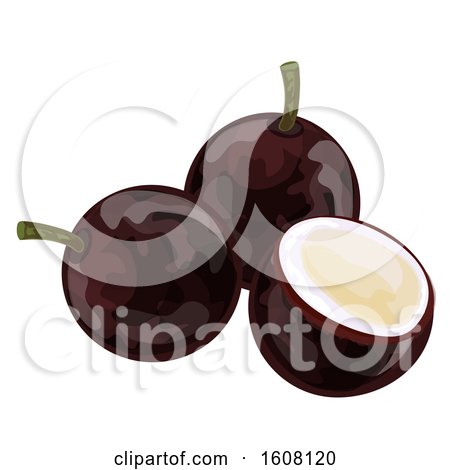 Clipart of a Jabuticaba - Royalty Free Vector Illustration by Vector Tradition SM