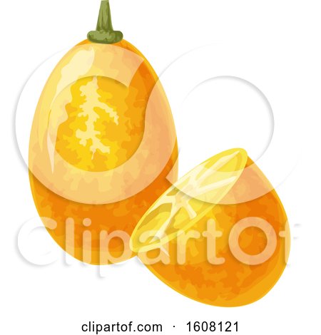 Clipart of a Kumquat - Royalty Free Vector Illustration by Vector Tradition SM