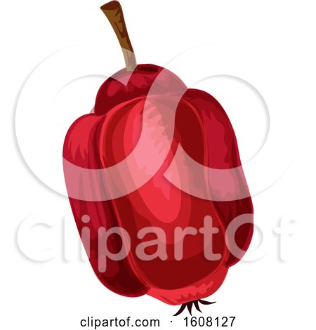 Clipart of a Ackee Apple - Royalty Free Vector Illustration by Vector Tradition SM