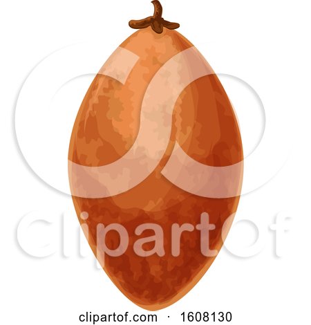 Clipart of a Sapodilla - Royalty Free Vector Illustration by Vector Tradition SM