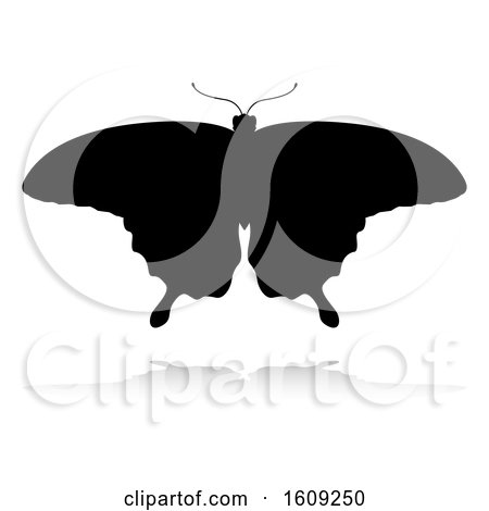 Clipart of a Silhouetted Butterfly, with a Reflection or Shadow, on a White Background - Royalty Free Vector Illustration by AtStockIllustration