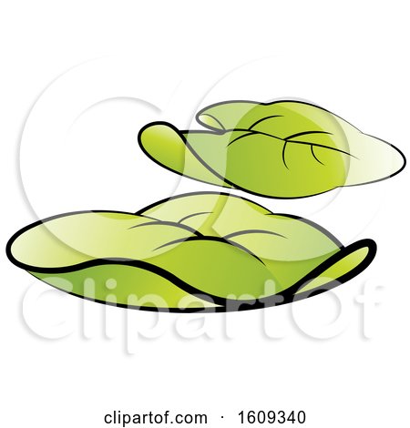 Clipart of Green Leaves - Royalty Free Vector Illustration by Lal Perera