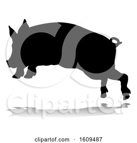 Pig Silhouette Farm Animal, with a Reflection or Shadow, on a White Background by AtStockIllustration