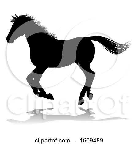 Horse Silhouette Animal, with a Reflection or Shadow, on a White Background by AtStockIllustration