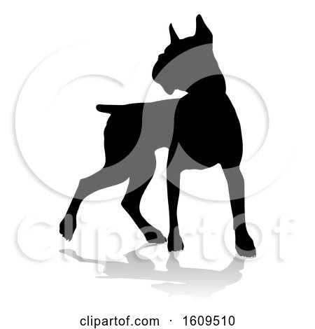 Clipart of a Silhouetted Boxer Dog, with a Reflection or Shadow, on a White Background - Royalty Free Vector Illustration by AtStockIllustration