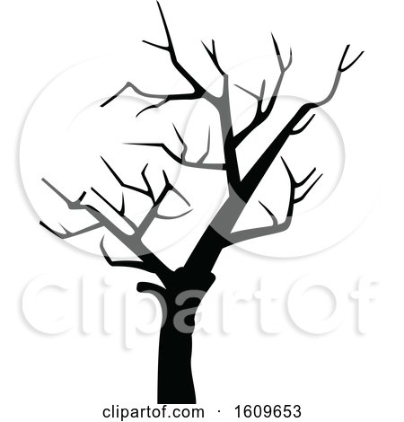 Clipart of a Halloween Bare Tree Black and White Silhouette - Royalty Free Vector Illustration by dero