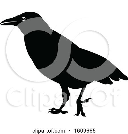 Clipart of a Halloween Crow Black and White Silhouette - Royalty Free Vector Illustration by dero