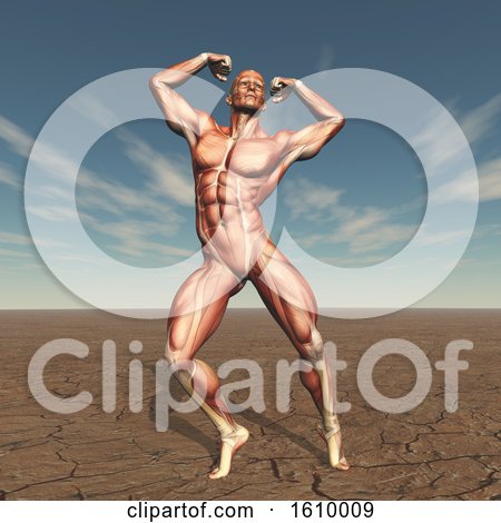3D Male Body Buildern with Muscle Map in Barren Landscape by KJ Pargeter
