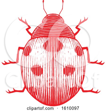 Clipart of a Sketched Red Ladybug - Royalty Free Vector Illustration by cidepix