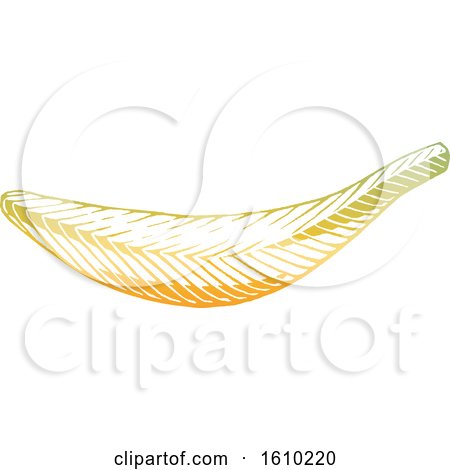 Clipart of a Sketched Yellow Banana - Royalty Free Vector Illustration by cidepix