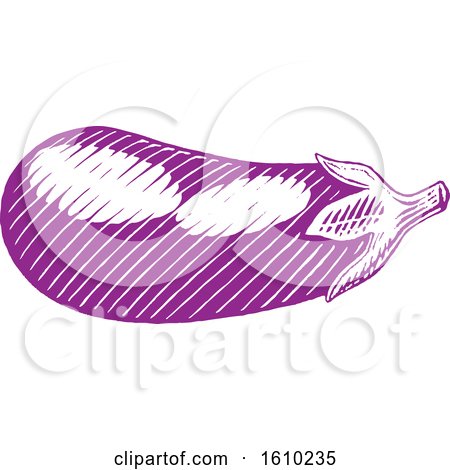 Clipart of a Sketched Purple Eggplant - Royalty Free Vector Illustration by cidepix