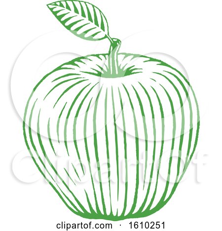Clipart of a Sketched Green Apple - Royalty Free Vector Illustration by cidepix