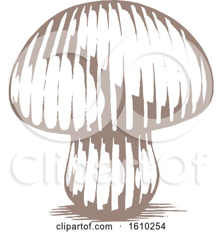 Clipart of a Sketched Brown Mushroom - Royalty Free Vector Illustration by cidepix