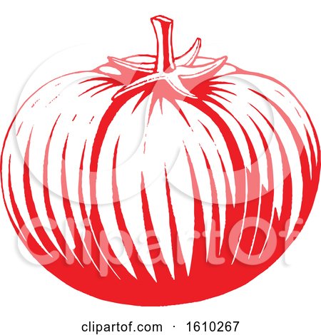 Clipart of a Sketched Red Tomato - Royalty Free Vector Illustration by cidepix