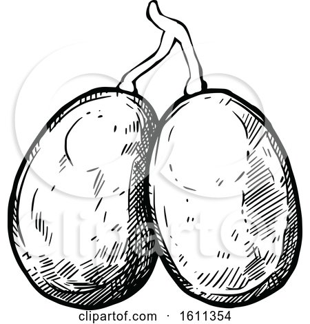 Clipart of a Sketched Ambarella Tropical Exotic Fruit - Royalty Free Vector Illustration by Vector Tradition SM