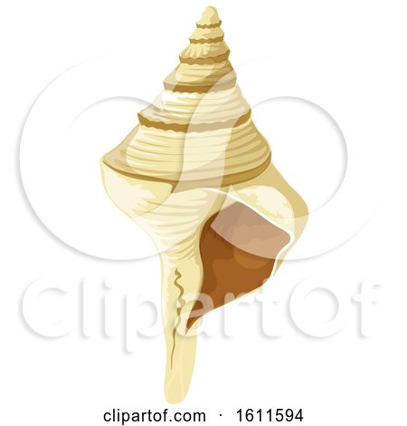 Clipart of a Sea Shell - Royalty Free Vector Illustration by Vector Tradition SM