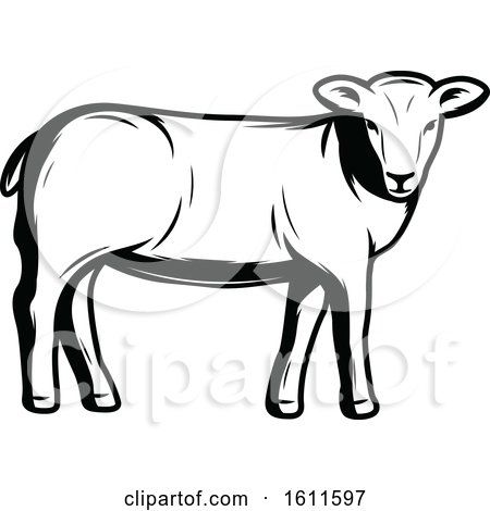 Clipart of a Black and White Sheep - Royalty Free Vector Illustration by Vector Tradition SM