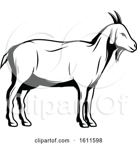 Clipart of a Black and White Goat - Royalty Free Vector Illustration by Vector Tradition SM
