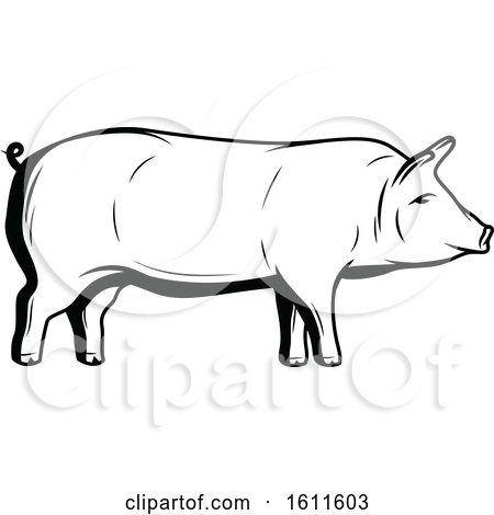 Clipart of a Black and White Pig - Royalty Free Vector Illustration by Vector Tradition SM