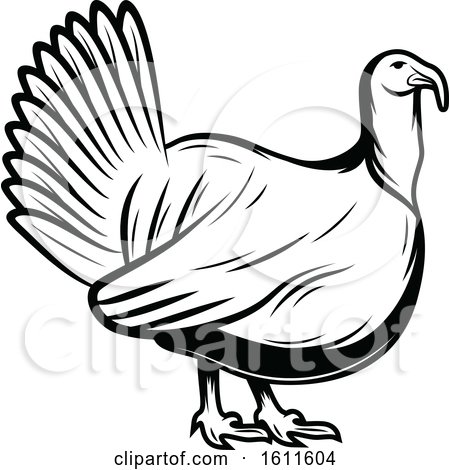 Clipart of a Black and White Turkey Bird - Royalty Free Vector Illustration by Vector Tradition SM