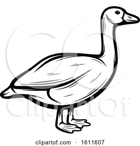 Clipart of a Black and White Goose - Royalty Free Vector Illustration by Vector Tradition SM