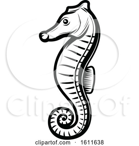 Clipart of a Black and White Seahorse - Royalty Free Vector Illustration by Vector Tradition SM
