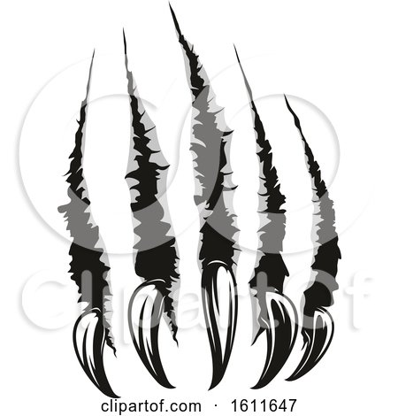 Clipart of Ripping Claws - Royalty Free Vector Illustration by Vector Tradition SM